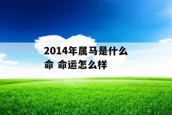 2014年属马是什么命 命运怎么样