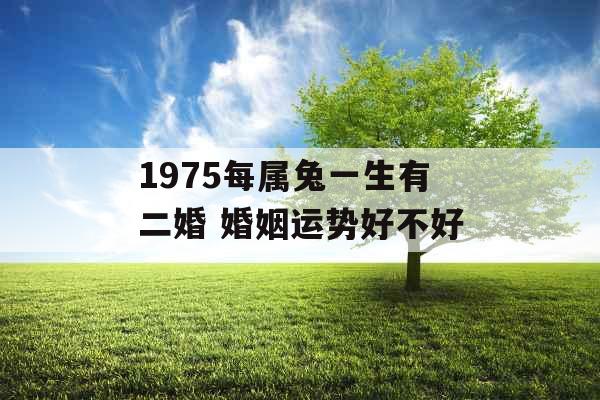 1975每属兔一生有二婚 婚姻运势好不好 1975每属兔一生有二婚 婚姻运势好不好