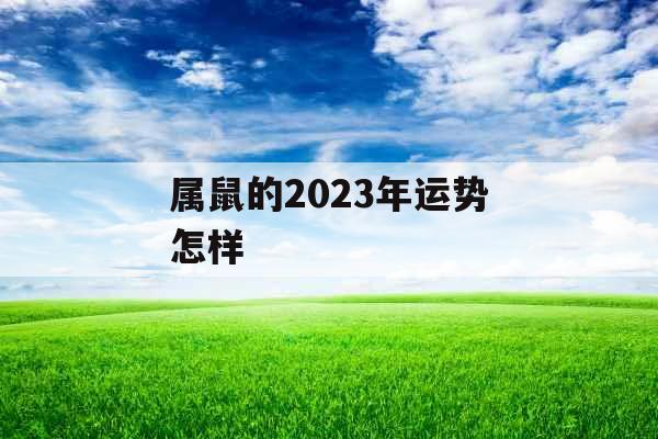 属鼠的2023年运势怎样