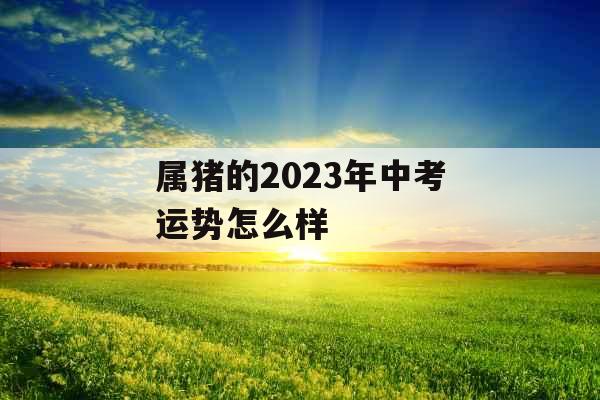 属猪的2023年中考运势怎么样