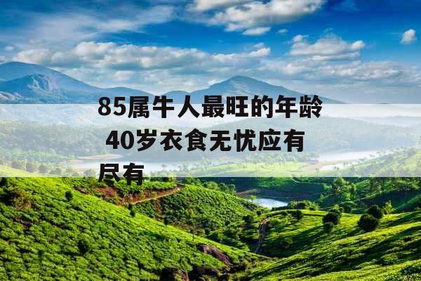 85属牛人最旺的年龄 40岁衣食无忧应有尽有