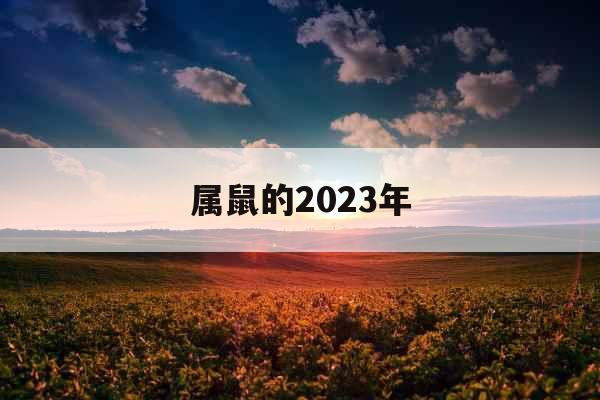 属鼠的2023年