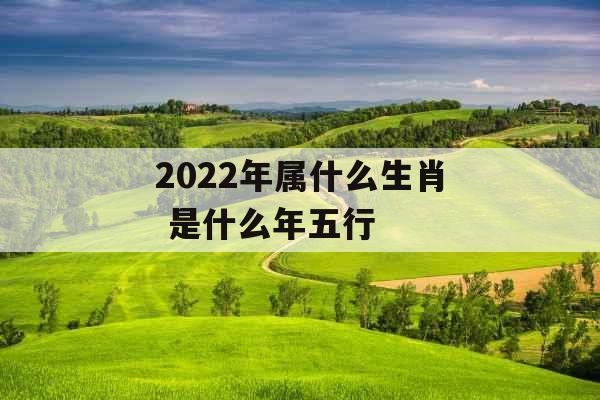 2022年属什么生肖 是什么年五行