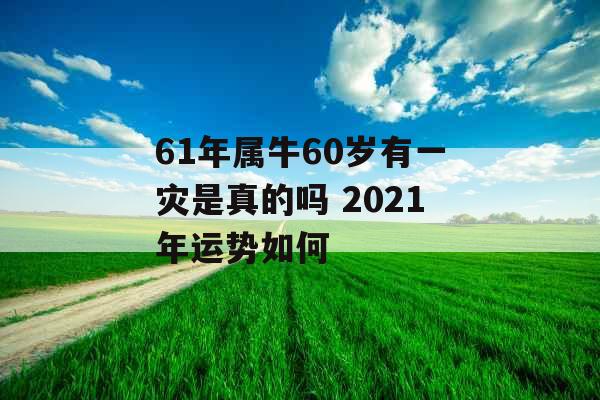 61年属牛60岁有一灾是真的吗 2021年运势如何