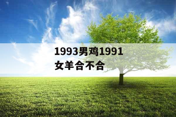 1993男鸡1991女羊合不合