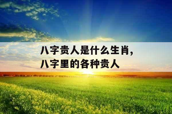 八字贵人是什么生肖,八字里的各种贵人