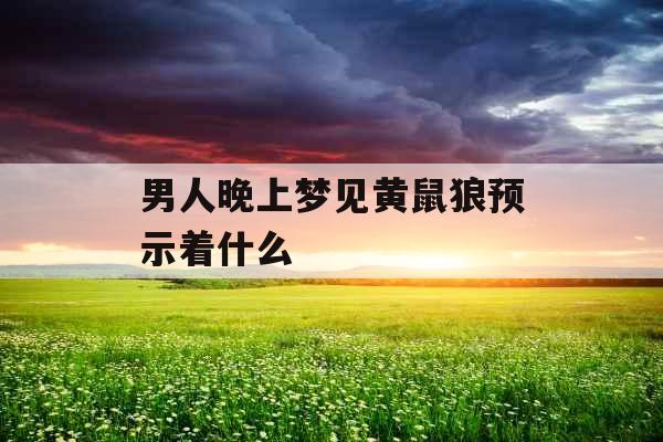 男人晚上梦见黄鼠狼预示着什么