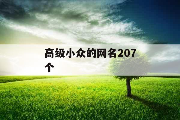 高级小众的网名207个 高级小众的网名207个