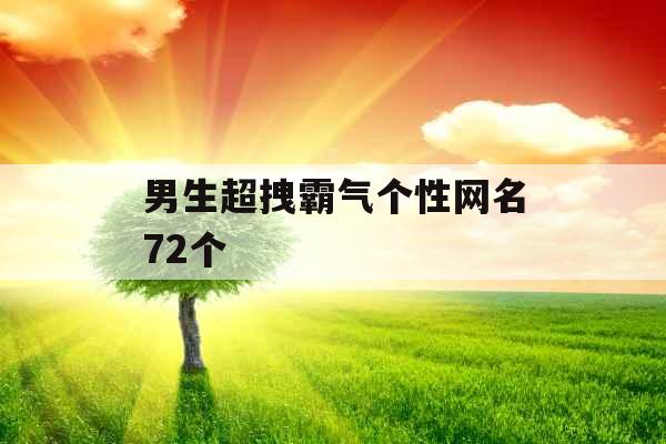 男生超拽霸气个性网名72个