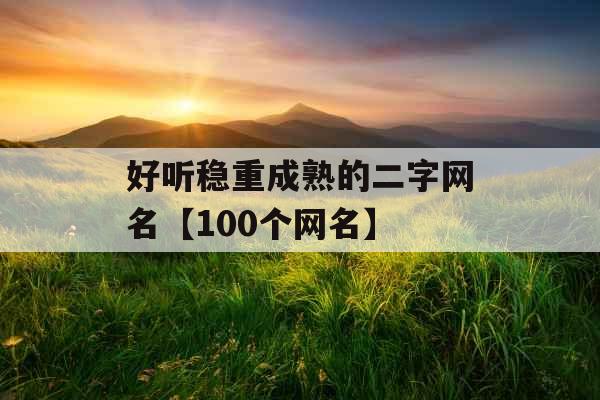 好听稳重成熟的二字网名【100个网名】