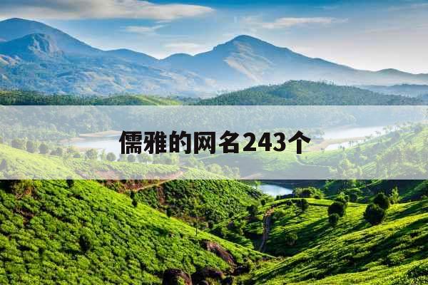 儒雅的网名243个