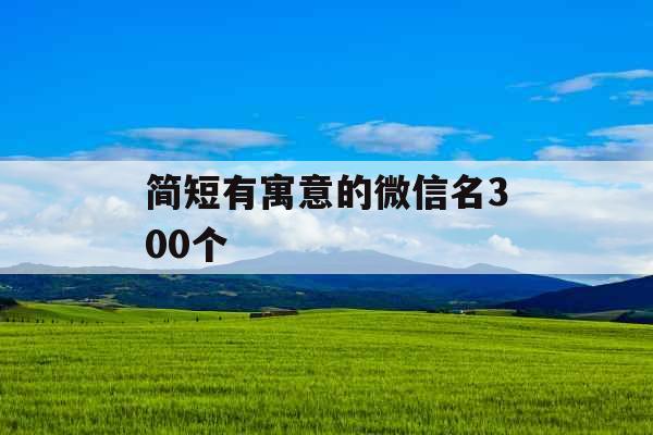 简短有寓意的微信名300个