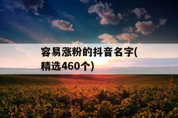 容易涨粉的抖音名字(精选460个)