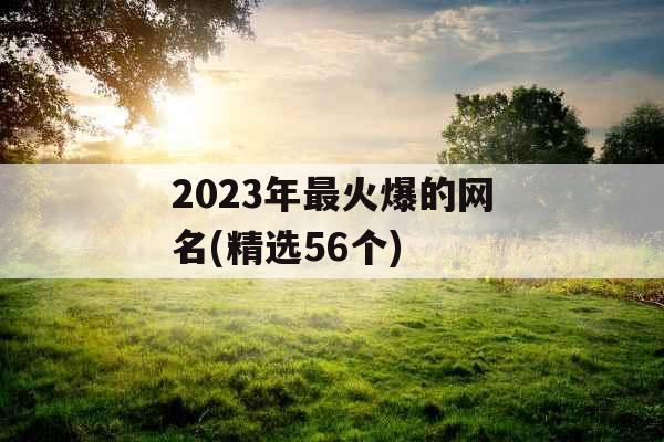 2023年最火爆的网名(精选56个)