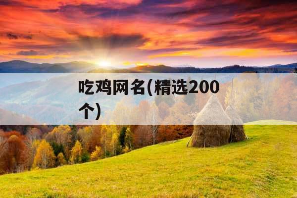 吃鸡网名(精选200个)