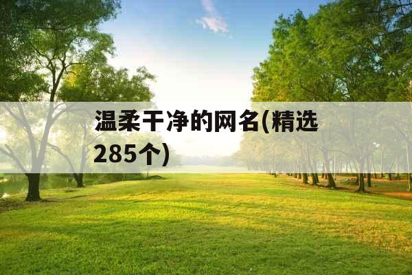 温柔干净的网名(精选285个)