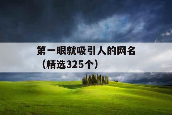 第一眼就吸引人的网名（精选325个）