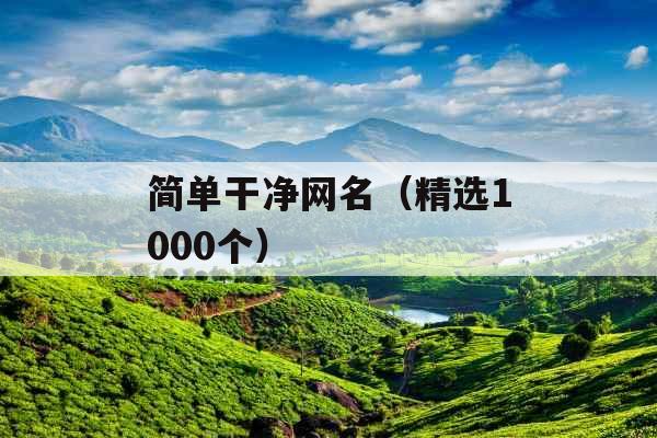 简单干净网名（精选1000个）