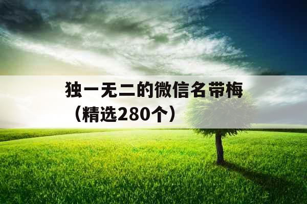 独一无二的微信名带梅(精选280个) 独一无二的微信名带梅(精选280个)