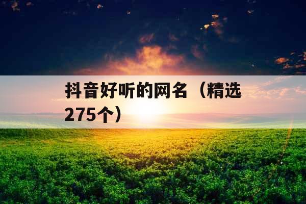 抖音好听的网名（精选275个）