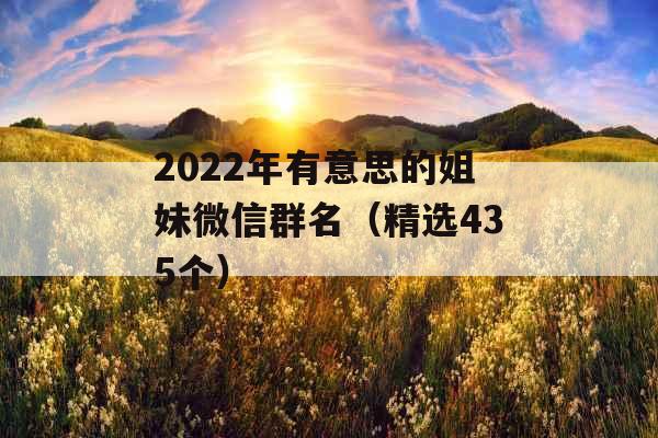 2022年有意思的姐妹微信群名（精选435个）