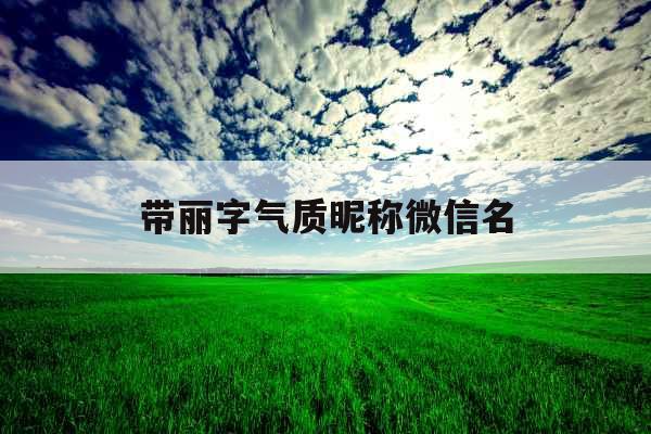 带丽字气质昵称微信名