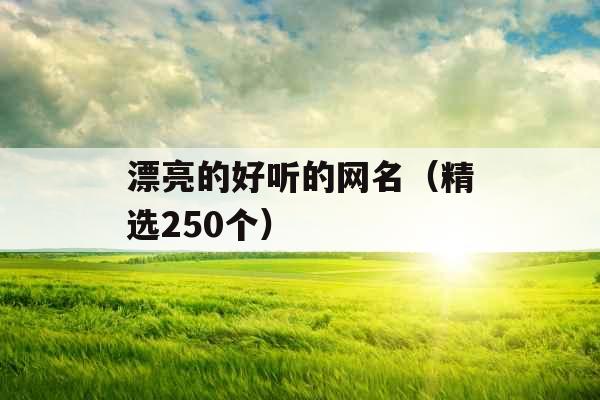 漂亮的好听的网名（精选250个）