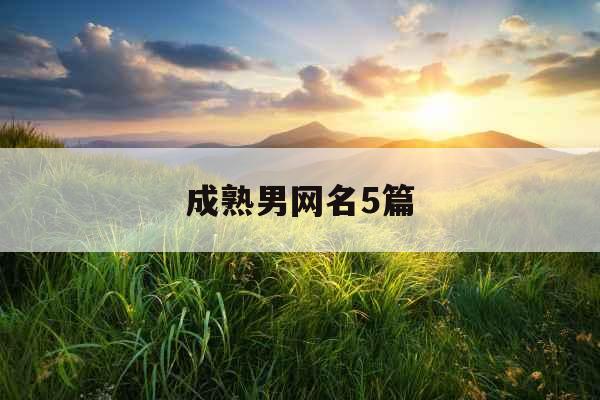 成熟男网名5篇