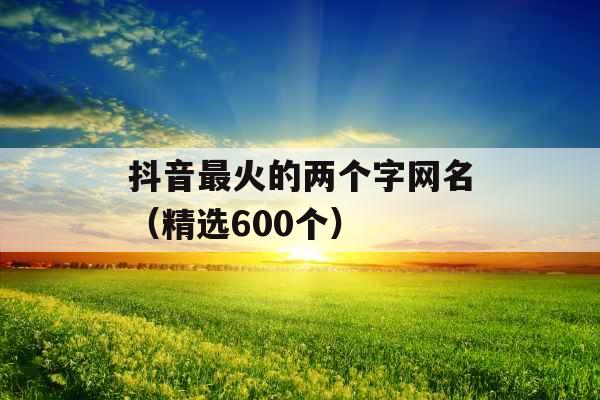 抖音最火的两个字网名（精选600个）