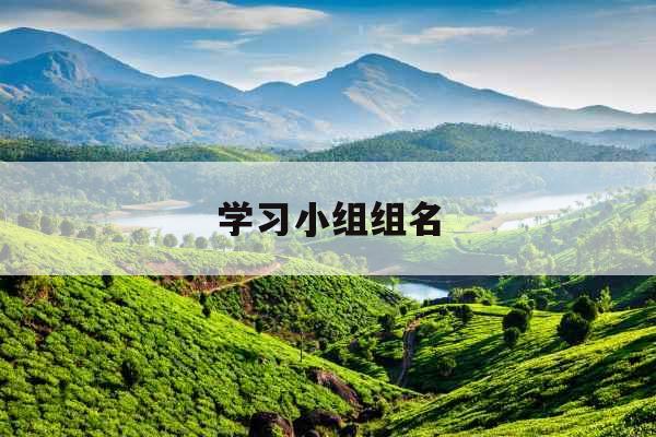 学习小组组名 学习小组组名
