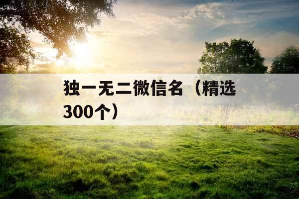 独一无二微信名（精选300个）