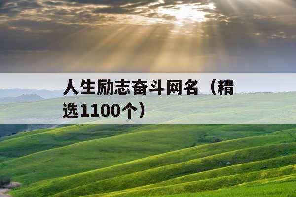 人生励志奋斗网名（精选1100个）