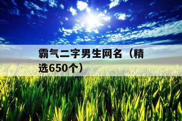 霸气二字男生网名（精选650个）