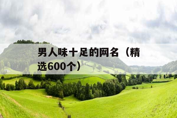 男人味十足的网名（精选600个）