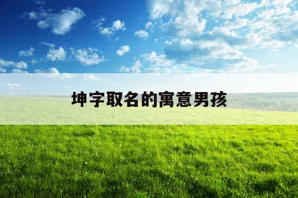 坤字取名的寓意男孩 坤字取名的寓意男孩