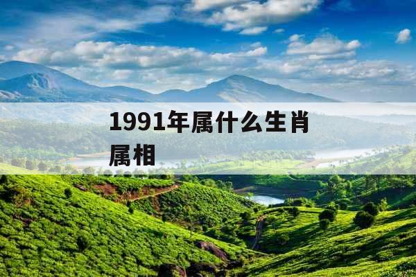 1991年属什么生肖属相