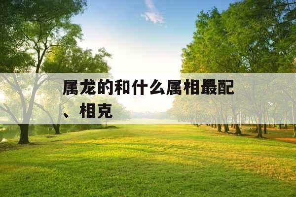 属龙的和什么属相最配、相克
