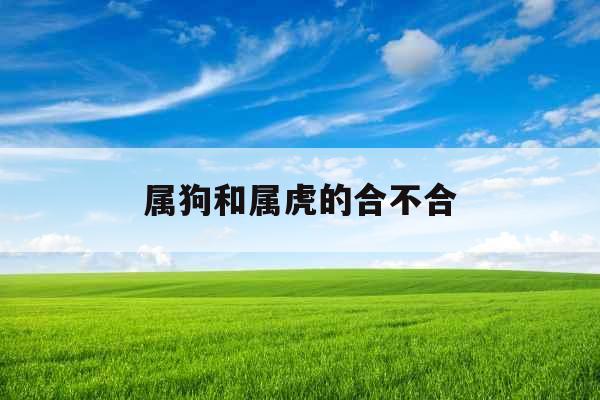属狗和属虎的合不合