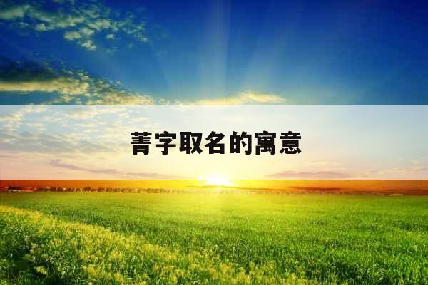菁字取名的寓意 菁字取名的寓意