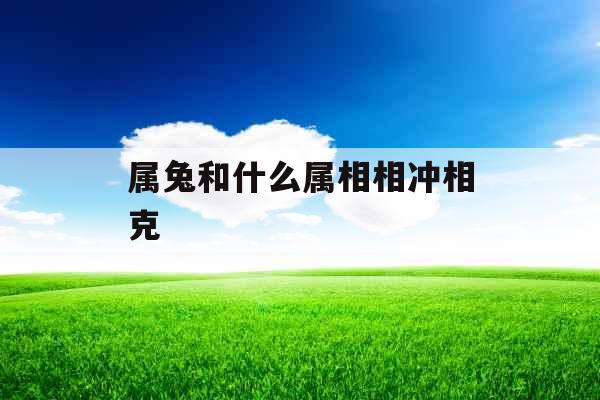 属兔和什么属相相冲相克