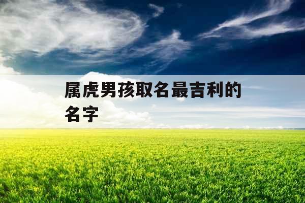 属虎男孩取名最吉利的名字 属虎男孩取名最吉利的名字
