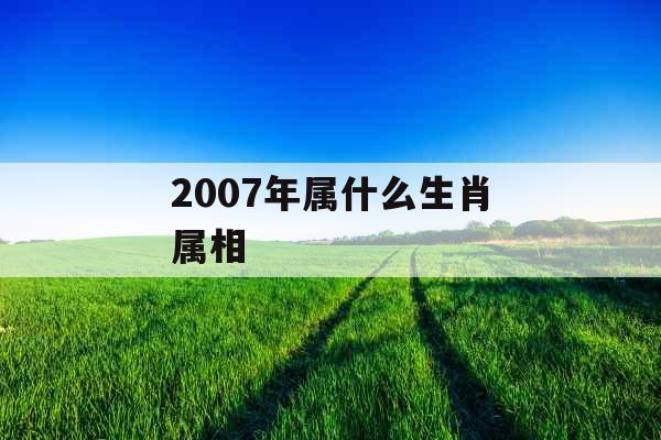 2007年属什么生肖属相