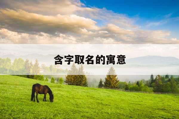 含字取名的寓意 含字取名的寓意