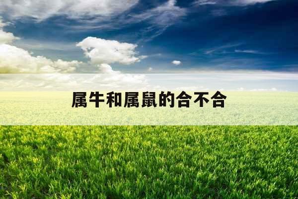属牛和属鼠的合不合 属牛和属鼠的合不合