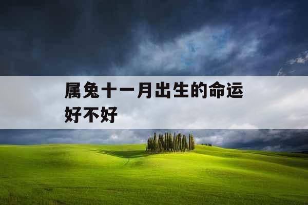 属兔十一月出生的命运好不好
