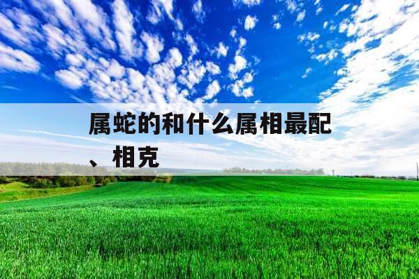 属蛇的和什么属相最配、相克