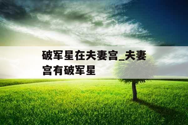 破军星在夫妻宫_夫妻宫有破军星