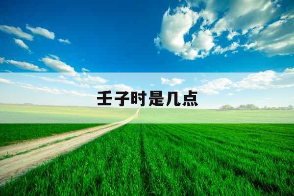 壬子时是几点