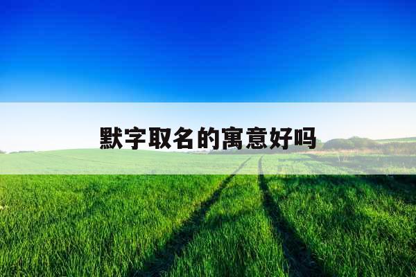默字取名的寓意好吗 默字取名的寓意好吗