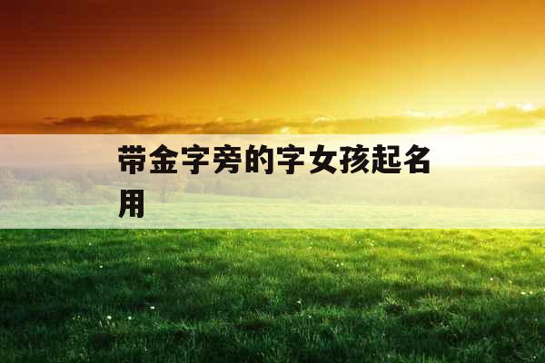 带金字旁的字女孩起名用 带金字旁的字女孩起名用